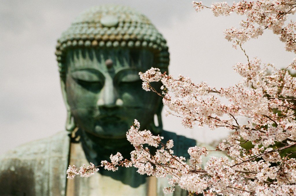 Imagen de la estatua del gran buda de kamakura
