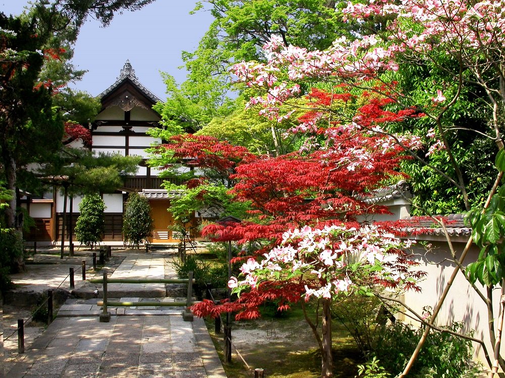 Imagen en primavera con todos los árboles en flor en la entrada del Templo de Tenru-ji