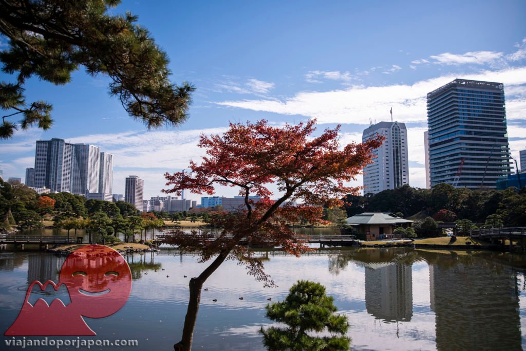 Viaje de 10 días en Japón - Viajando por Japón